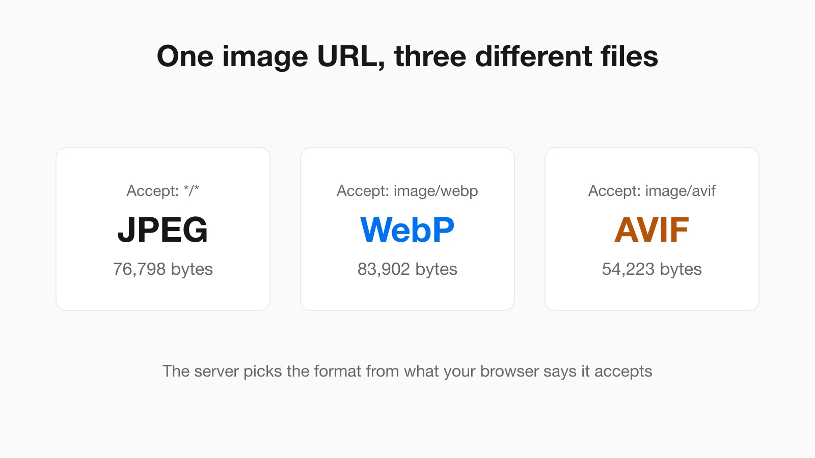 One image URL returns three files depending on the Accept header: a 76,798 byte JPEG, an 83,902 byte WebP and a 54,223 byte AVIF